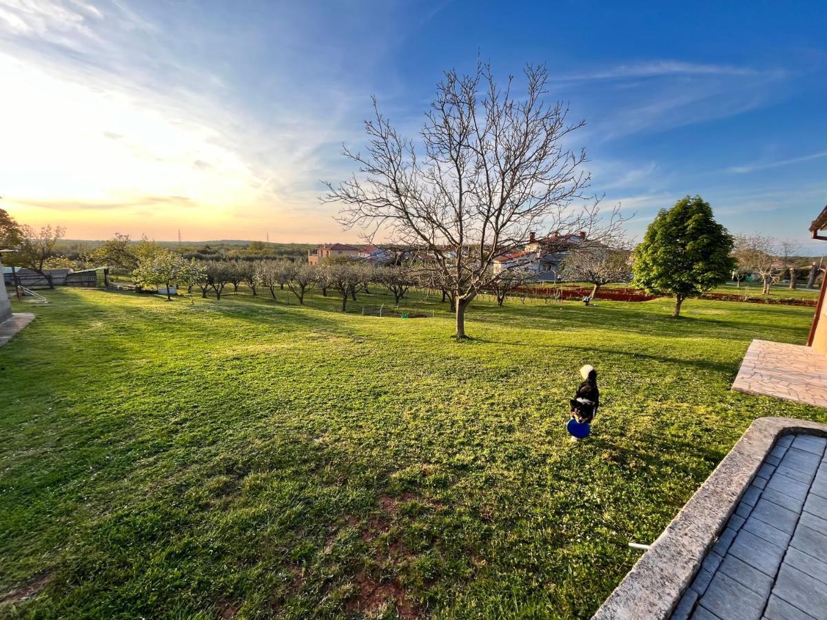 Apartment Danica Valtura Dış mekan fotoğraf
